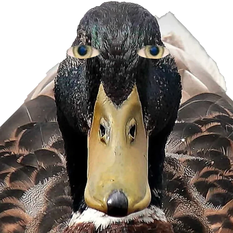 quackers