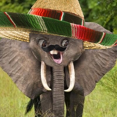 Humpleupagus@eveningzoo.club