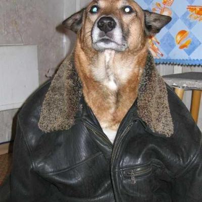 bloojay@noauthority.social