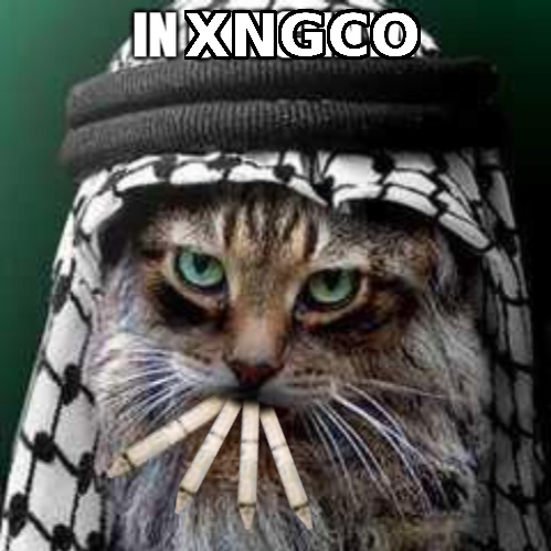 khayyam@rawrxd4mden7rmbobaftao3qjyxbrvj4rrooehkqxlqcsdtnnn2hndid.onion