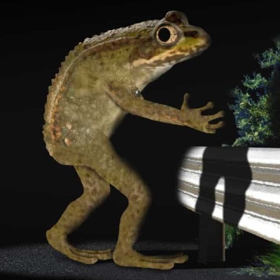 nsf001@shitpost.cloud