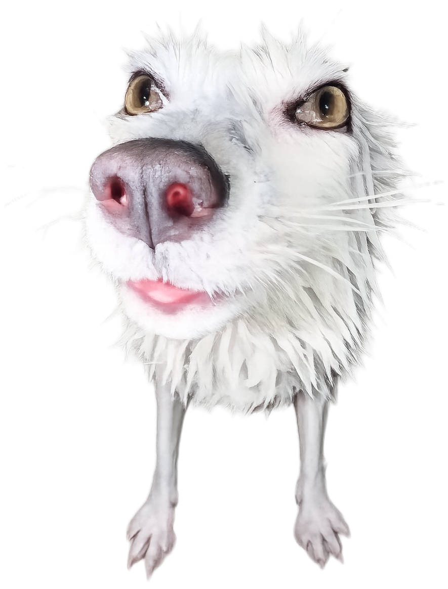 theorytoe@ak.kyaruc.moe