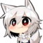 awoos_internally