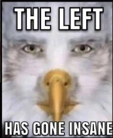 theleft