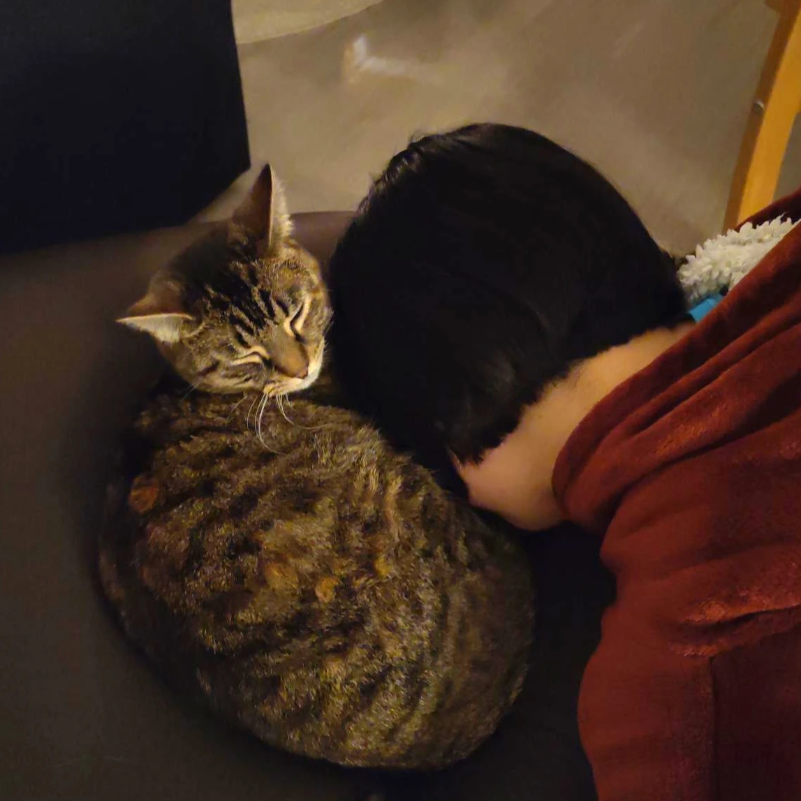 mametsuko@mk.absturztau.be