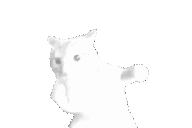 wiggapunchcat