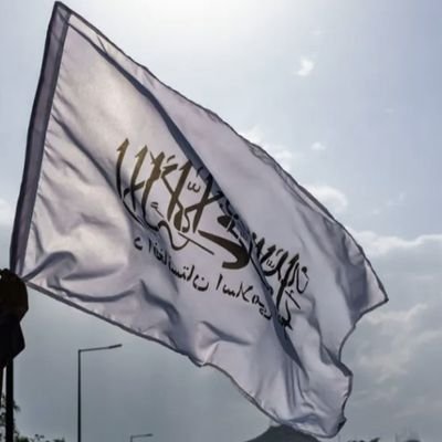 talibanprd@bird.froth.zone