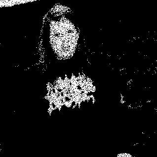 3840x2160px@bird.froth.zone