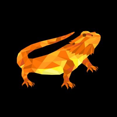 ghidraninja@bird.froth.zone